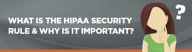 What is the HIPAA Security Rule and why is it important?