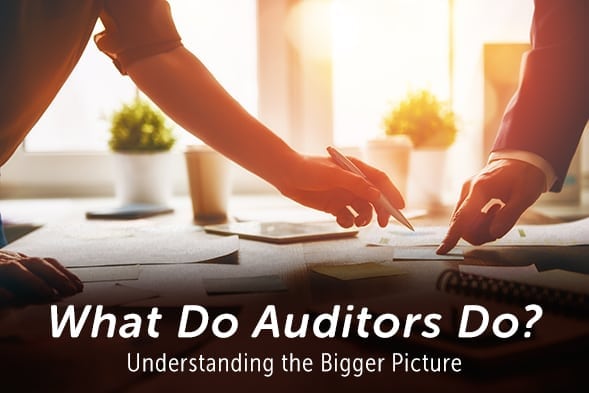 what-do-auditors-do-understanding-the-bigger-picture-linford