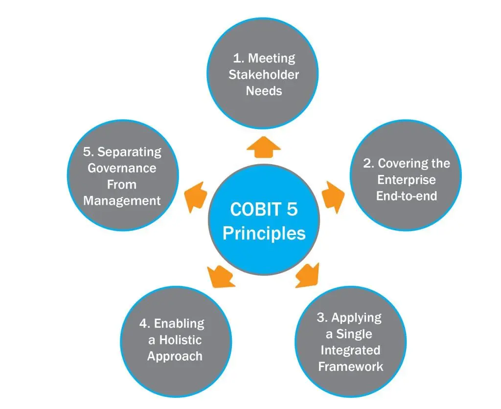 Infographic of the Cobit 5 Principles