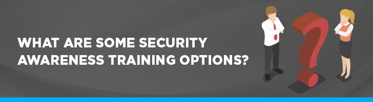 Security awareness training options