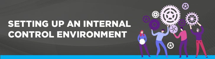 Setting up an internal control environment