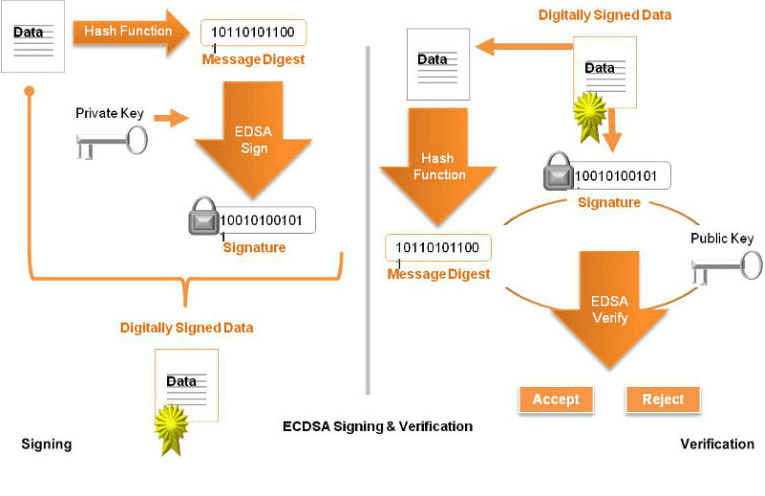 The Elliptic Curve Digital Signature Algorithm (ECDSA)