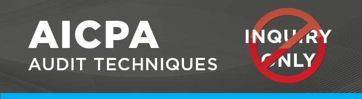 AICPA Audit Techniques