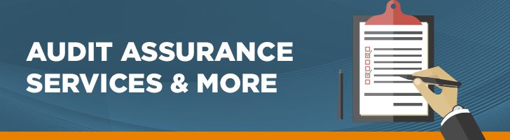 Audit assurance services & more