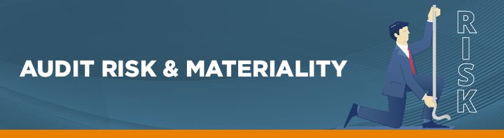 Audit Risk and Materiality