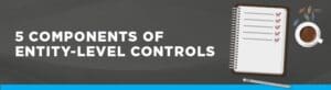 Designing Entity Level Controls Entity-Level Controls & How They Impact Your Organization