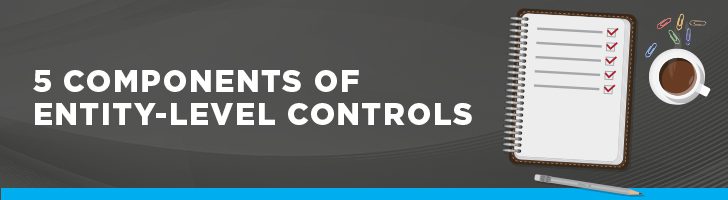 Five components of entity-level controls