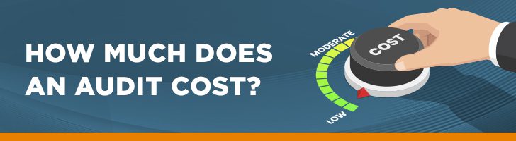 What does an audit cost?