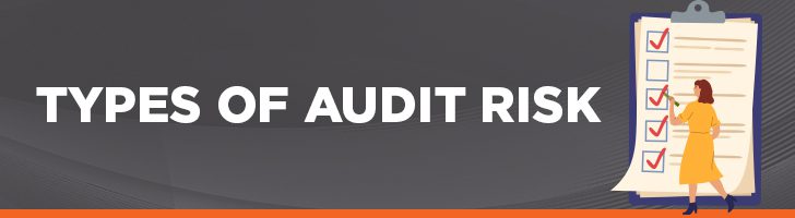Types of audit risk