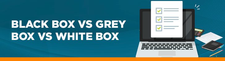 Black box vs grey box vs white box pentesting