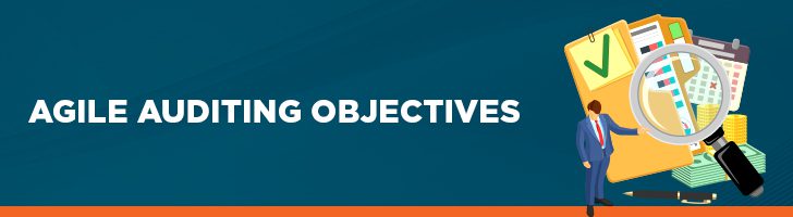Agile auditing objectives