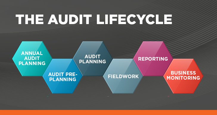 Audit Life Cycle