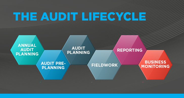 The audit lifecycle