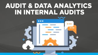 Audit data analytics in internal audits