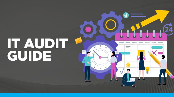 IT audit guide