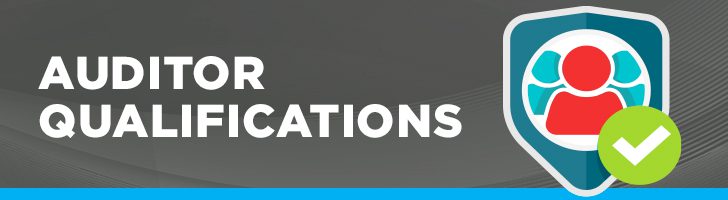 Auditor qualifications