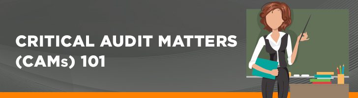 Critical audit matters 101