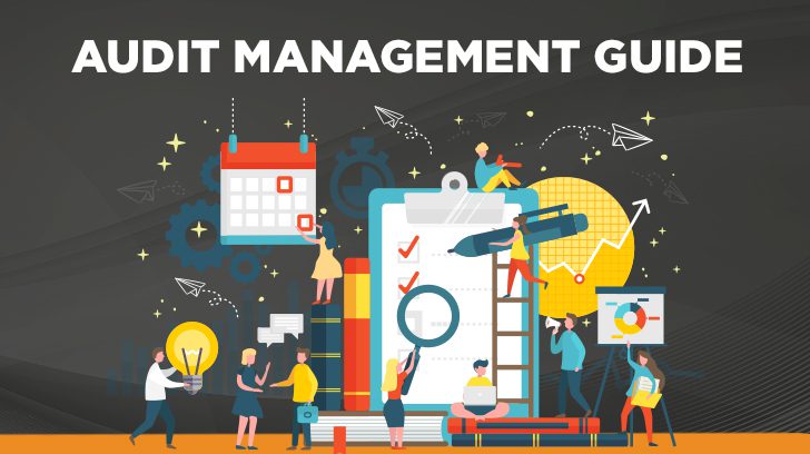 Audit management guide