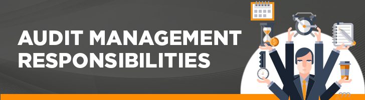 Audit management responsibilities