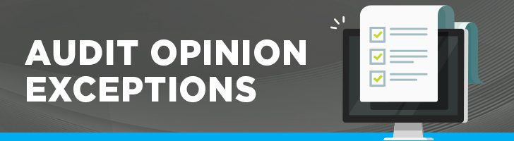 Audit opinion exceptions